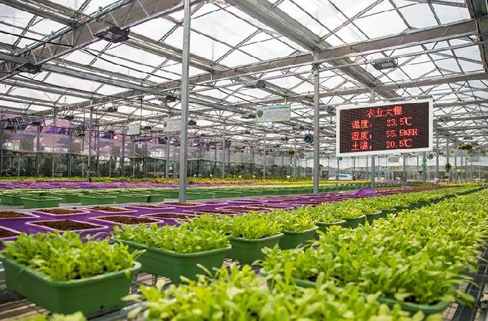 長英科技智能溫室監(jiān)控系統(tǒng)